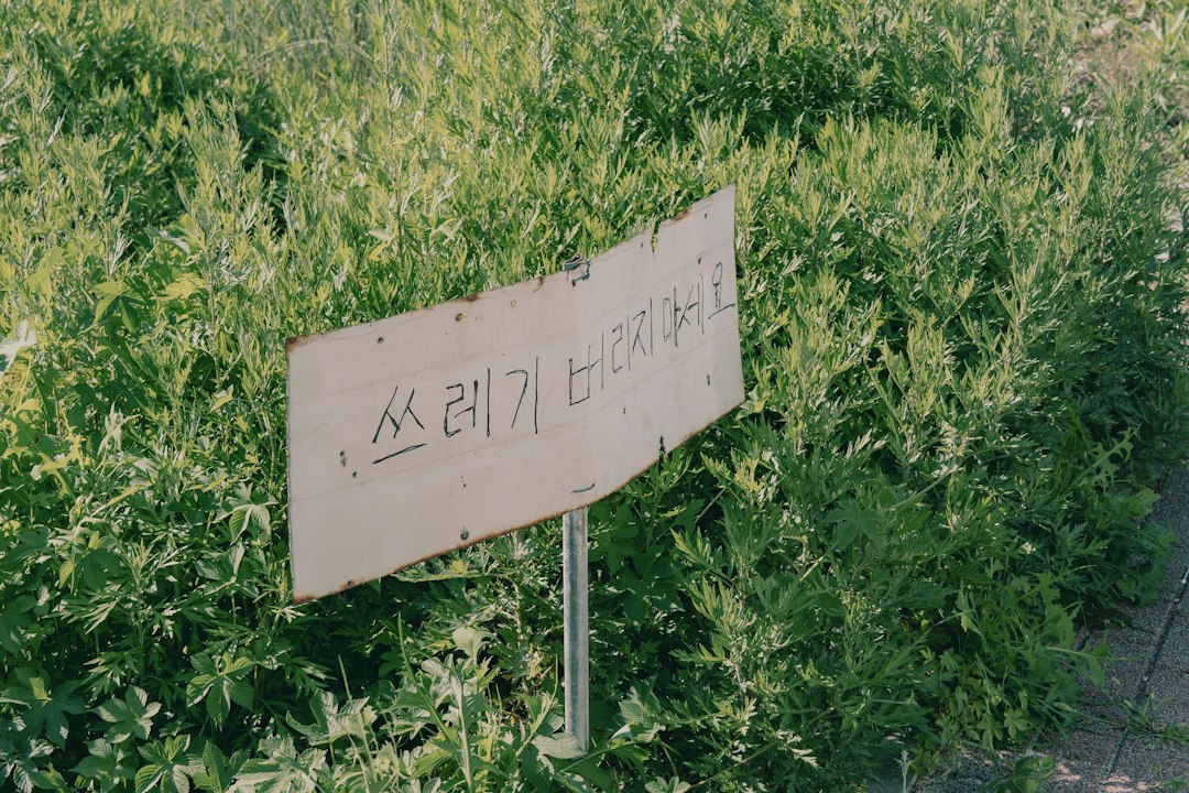 에세이쓰는법 참고 이미지 2